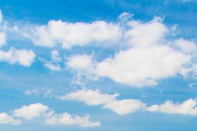 Financial Protection